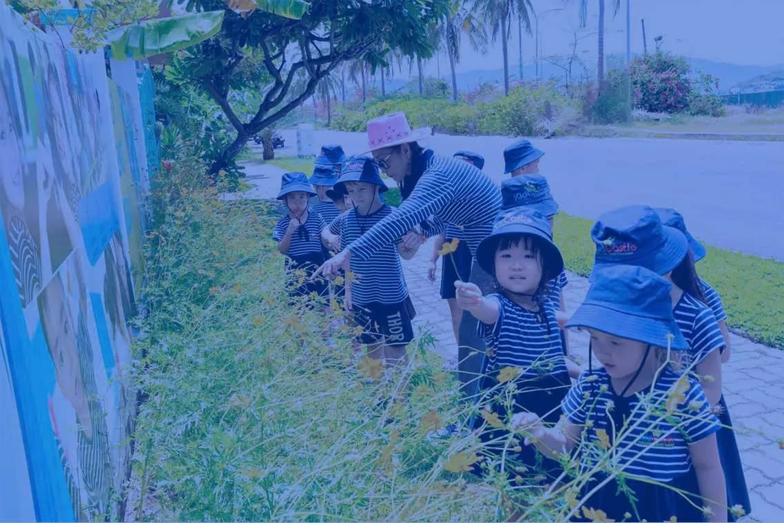 Little Sprouts
