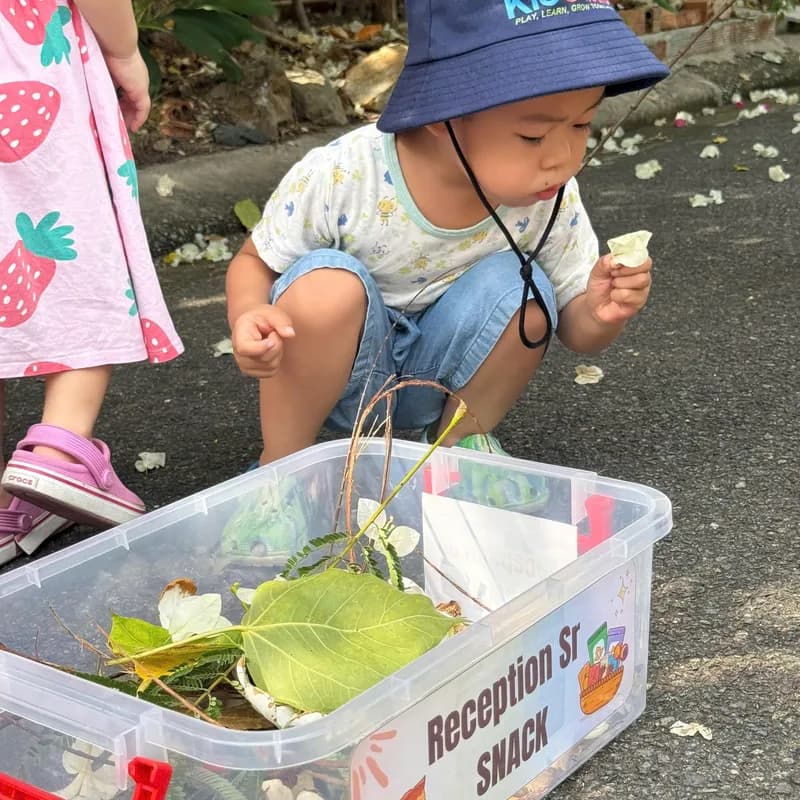 Collecting leaves and flowers in a nature box