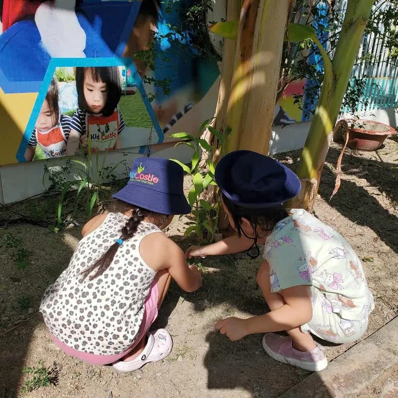 Searching for plants on a nature walk