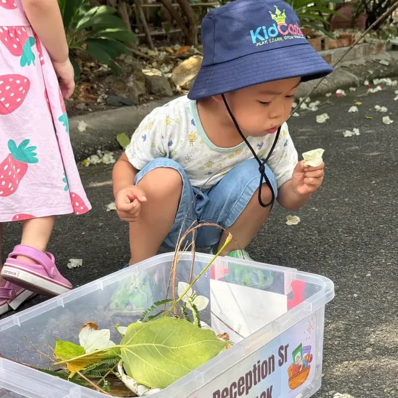 Nature discovery